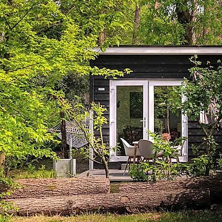 מלון Tiny Damhert Veluwe Retreat נונספייט